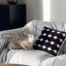 澜室·观江景|Moment·View·Design美宿(杭州江滨澜庭店)