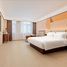 丽豪全屋智能民宿(东方广场地铁站店)