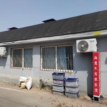 海鹰民宿