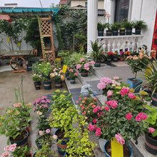 南浔悠闲民宿(荻港古村景区店)