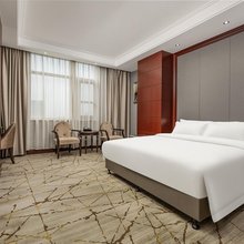 臻选商旅行政公寓(郑州高铁东站店)