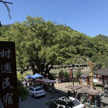 景宁时遇民宿