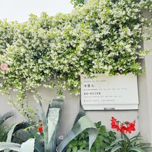 江油半开院里民宿