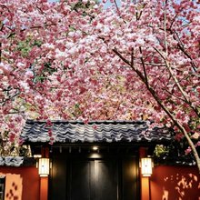 昆明乐道山居温泉庭院酒店