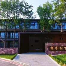银杏树下民宿