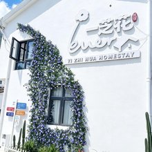 南麂一芝花民宿