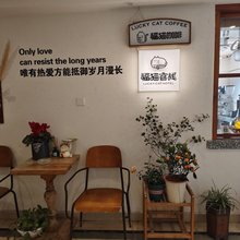 重庆福猫花园客栈