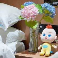 武夷山红袍缘度假区店