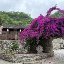 市外小院