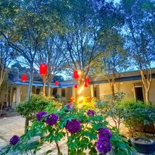 玉树雅舍民宿(洛阳古墓博物馆店)