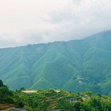 拾竹民宿(信宜马安竹海旅游区店)