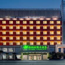 梧桐树假日酒店(郑州会展中心高铁站店)