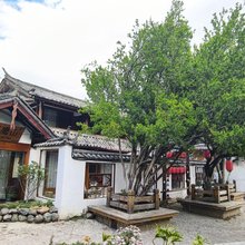 凤顾鹰山·古城观景度假客栈(丽江古城店)