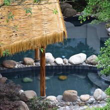 青城山云杉绿洲汤泉酒店