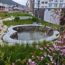 康定雅园神汤(中谷村店)