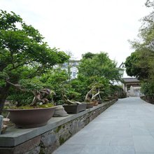 听雨阁私家园林民宿(黄山北站西溪南古村落店)