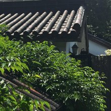 青云真庐客栈(西湖灵隐店)