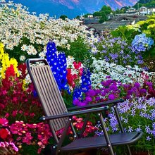 止观堂·禅意行旅雪山观景花园美宿(丽江古城四方街店)