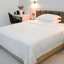 恒庭公寓(湛江华都汇店)