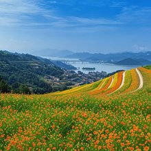 云顶的那片湖民宿(千岛湖景区店)