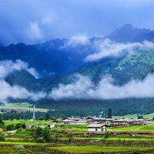 云栖山居(鲁朗扎西岗村店)