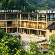 为茶而来民宿