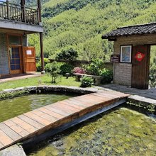 九宫山竹林下民宿
