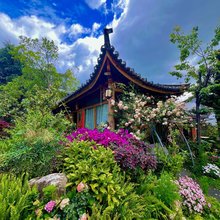 古琴别院·古琴花园疗愈美宿(大理古城南门店)