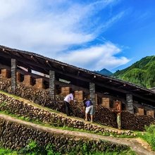 龙泉披云山民宿