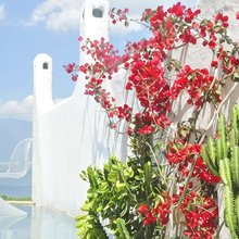 大理远山海景度假美宿 (洱海店)