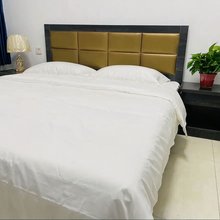 石家庄青华优选民宿