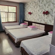 西泰山038号农家乐