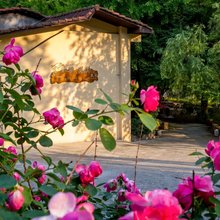 江锦·花林民宿