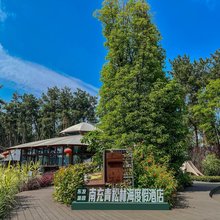南充青松林海度假民宿
