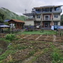 石台楠溪民宿