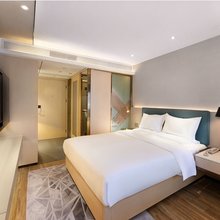 泰禾公寓(广州珠江医院宝岗大道地铁站店)