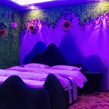 紫云缘遇主题酒店