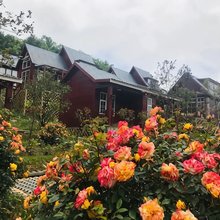 保康横冲木屋民宿