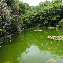 苏州山农土菜馆民宿
