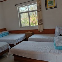 天津老董农家院