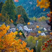 婺源云舒居民宿(篁岭景区店)