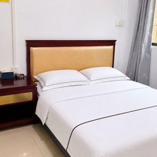东方公寓(佛山西站店)