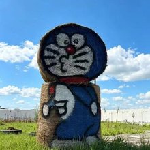 望见麦田亲子小院民宿