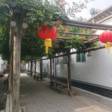 白洋淀望月岛4号院·Eco悠居·共享渔乡艺宿(三仙岛店)