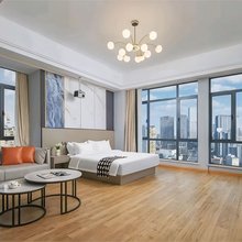 长沙缃悦公寓(省胸科医院店)