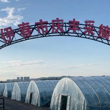 庆丰采摘园