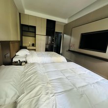 伊宁桃花坞民宿