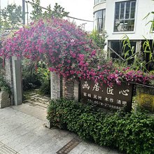 丽水画居匠心民宿客栈