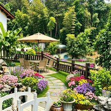 寻见·爱韶说丨红太阳升起之地丨山景花园庭院式民宿(韶山景区店)