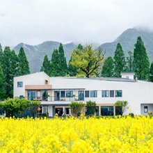 梅蓉心·富春隐渡